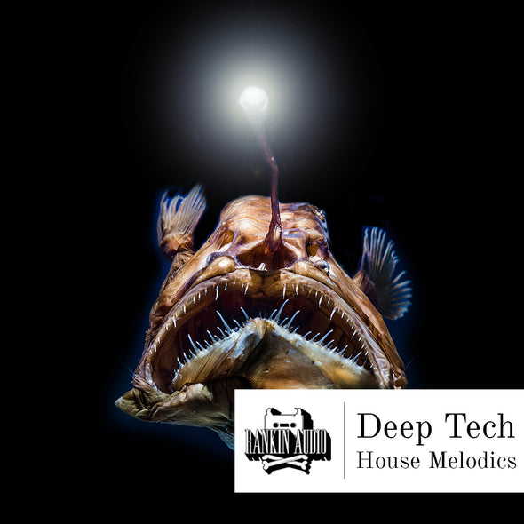 Deep Tech House Melodics
