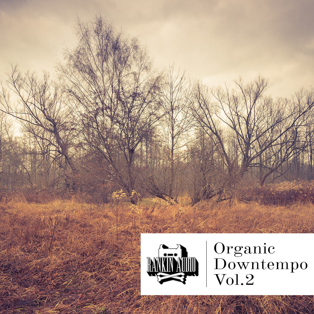 Organic Downtempo Vol 2